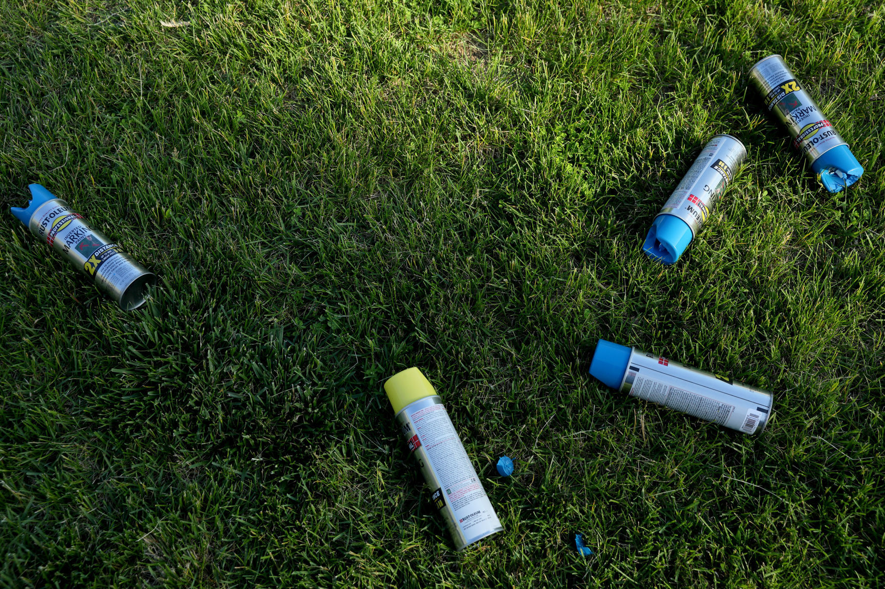 St. Louis Blues fan paints his yard with logo